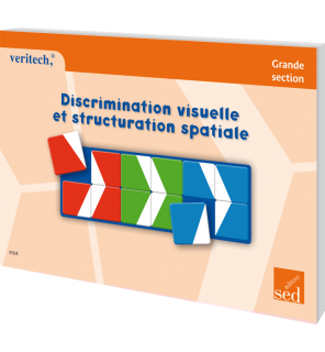 Discrimination visuelle et structuration spatiale