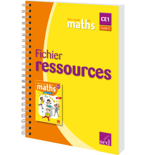Mon année de maths CE1 - Fichier ressources