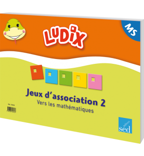 Ludix - Jeux d'association 2 Vers les mathématiques MS