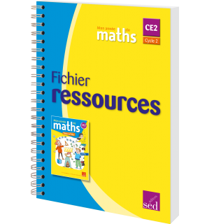 Mon année de maths CE2 - Fichier ressources
