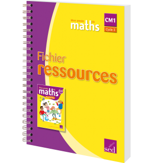 Mon année de maths CM1 - Fichier ressources