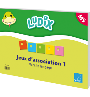 Ludix - Jeux d'association 1 Vers le langage MS