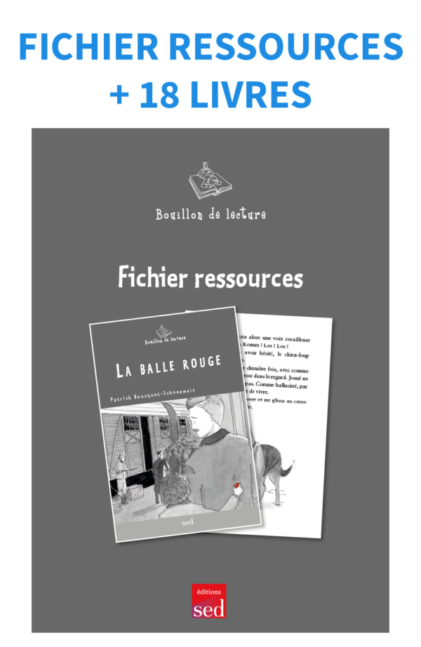 La balle rouge - 18 livres + fichier - nv